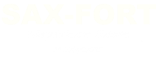 Niepubliczna Szkoła Muzyczna